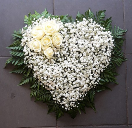 Gypsophilia Heart (1587559574)