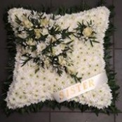Based Cushion (1587559741)